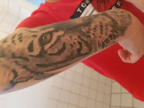 Rękaw z malych tatuazy przedstawiający oko tygrysa i jego futro.